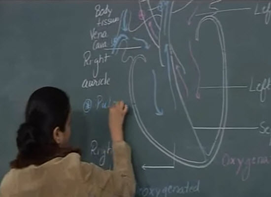 ekp11