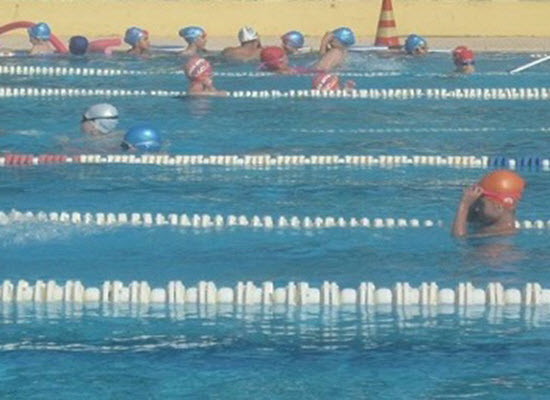 koldi