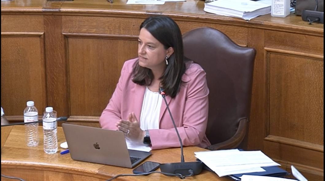 ΝΚ Βουλή